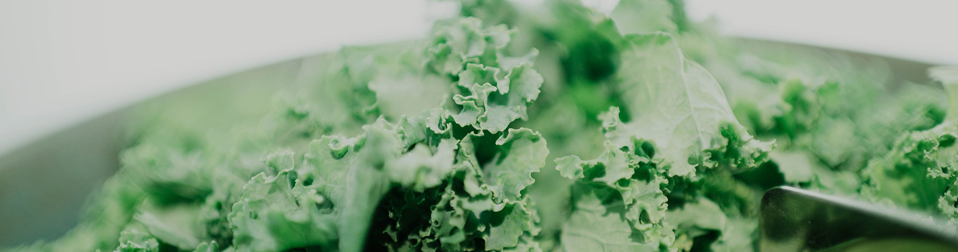 6 bienfaits du chou Kale (ou chou frisé) pour la santé