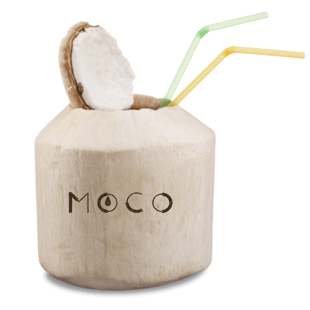Moconut-new